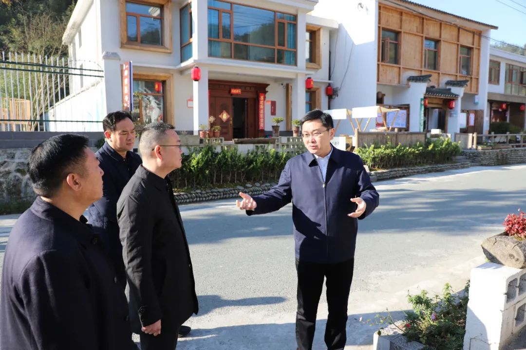 许庆一深入龙坝镇调研指导乡村振兴等工作