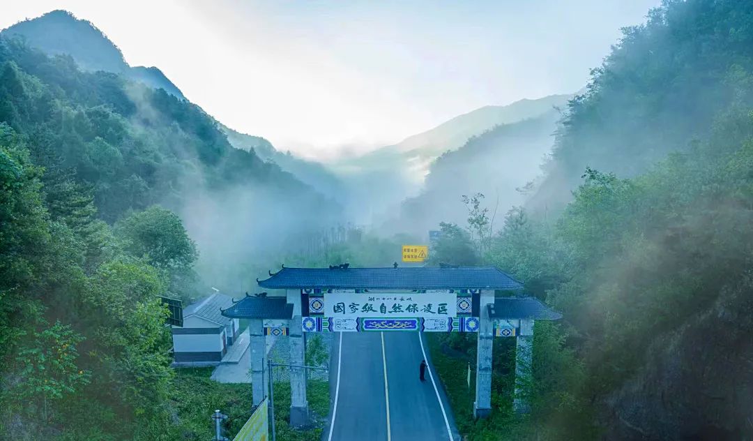 云雾中的“长峡”宛如“翡翠”