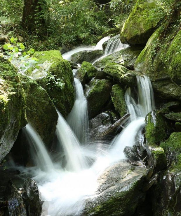 探秘天然自然风光——八卦山省级自然保护区管理局